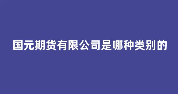 国元期货有限公司是哪种类别的(国元期货有限公司是国企吗)_https://www.dongshengweixin.com_深交所_第1张