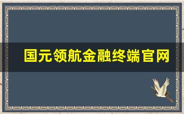 国元领航金融终端官网app(国元证券领航金融终端)_https://www.haiwangdasha.com_上交所_第1张
