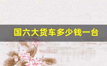 国六大货车多少钱一台(国六货车6米2新车报价)_https://www.dcjwmf.com_上期能源_第1张