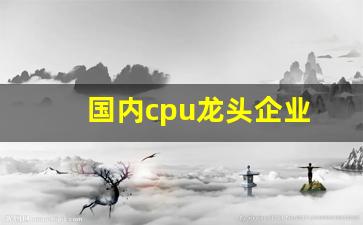 国内cpu龙头企业(主流cpu公司)_https://www.hbxfywj.com_基金知识_第1张