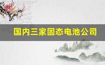 国内三家固态电池公司(国内三家固态电池公司龙头股)_https://www.nalian8.com_创业板_第1张