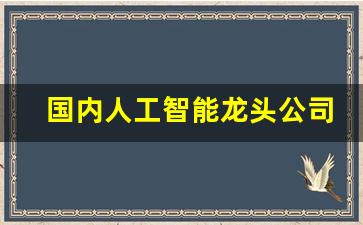 国内人工智能龙头公司(人工智能龙头公司股票)_https://www.nalian8.com_北交所_第1张