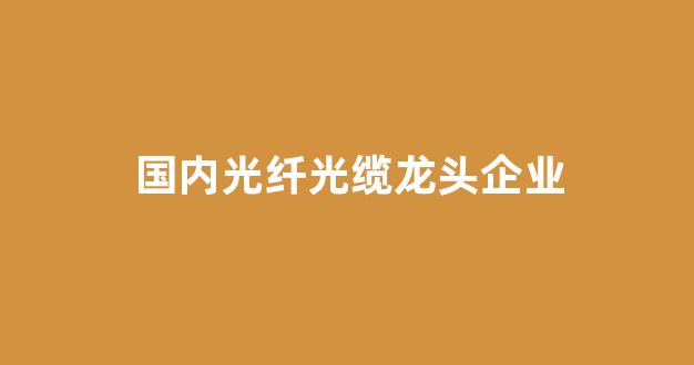 国内光纤光缆龙头企业(光纤光缆龙头上市公司)_https://www.jumanxin.com_北交所_第1张