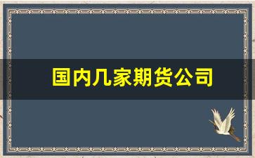 国内几家期货公司(国内的期货公司)_https://www.brunchezvous.com_旅游景点_第1张