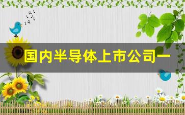 国内半导体上市公司一览表(国内半导体行业上市公司最全汇总)_https://www.jumanxin.com_创业板_第1张