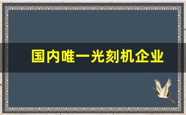 国内唯一光刻机企业(中国成功生产5纳米光刻机)_https://www.hangfeite.com_北交所_第1张