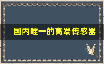 国内唯一的高端传感器公司(国内唯一的高端传感器公司收购国外)_https://www.wanyuyiyao.com_上交所_第1张