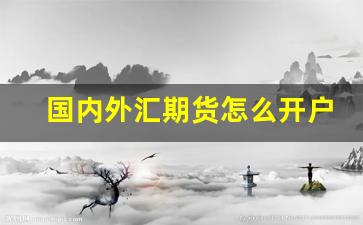 国内外汇期货怎么开户(开外汇期货账户的条件)_https://www.hangfeite.com_科创板_第1张