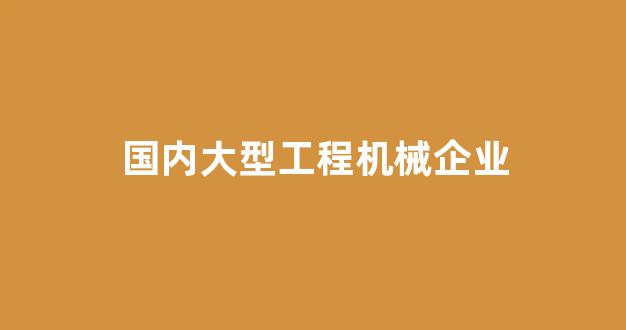 国内大型工程机械企业(国内工程机械排名前十的企业)_https://www.hhem8.com_上交所_第1张