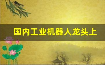 国内工业机器人龙头上市公司(工业机器人上市龙头企业)_https://www.nalian8.com_北交所_第1张