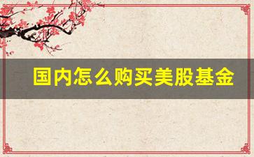 国内怎么购买美股基金(国内怎么购买美股基金股票)_https://www.fzdzcxj.com_创业板_第1张