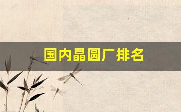 国内晶圆厂排名(国内晶圆厂家排名)_https://www.nalian8.com_科创板_第1张