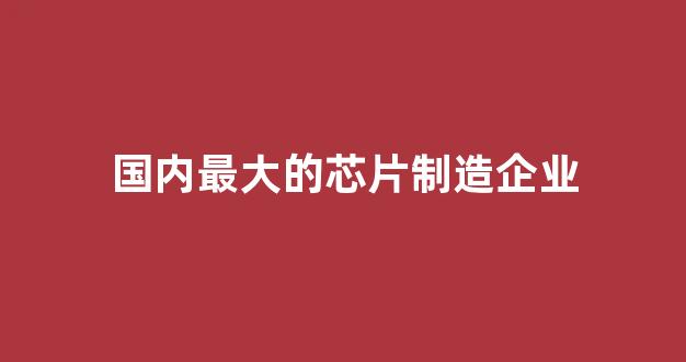国内最大的芯片制造企业(中国十大芯片公司排名)_https://www.eamstsz.com_上交所_第1张