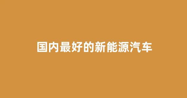 国内最好的新能源汽车(国内最好的新能源汽车品牌排行榜)_https://www.wanyuyiyao.com_上交所_第1张