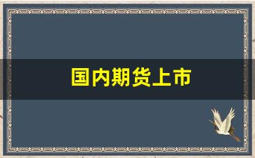国内期货上市(国内期货上市公司)_https://www.haiwangdasha.com_深交所_第1张