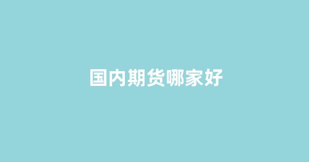 国内期货哪家好(国内期货)_https://www.hn-life.com_深交所_第1张