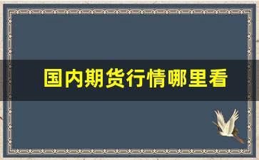 国内期货行情哪里看(中国期货行情在哪里看)_https://www.eamstsz.com_上交所_第1张