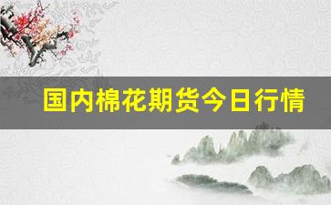 国内棉花期货今日行情(棉花期货行情现货价格)_https://www.fzdzcxj.com_深交所_第1张