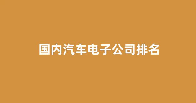 国内汽车电子公司排名(国内汽车电子公司排名前十)_https://www.taocizhiliang.com_效果图_第1张