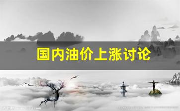 国内油价上涨讨论-国内油价持续上涨