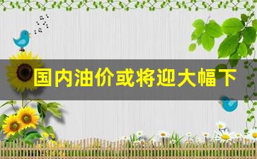 国内油价或将迎大幅下调-国内油价或迎最大
