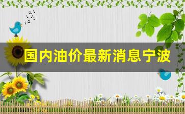 国内油价最新消息宁波今日油价表一览表-今日宁波油价时间表