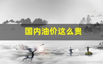 国内油价这么贵-国内油价太贵