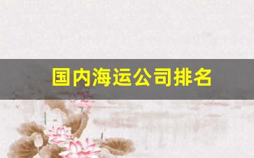 国内海运公司排名(国内海运公司排名前100)_https://www.taocizhiliang.com_设计报价_第1张