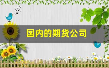 国内的期货公司(国内的期货公司排名前十)_https://www.huakunhengjia.com_股票资讯_第1张