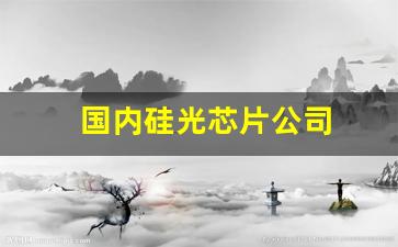 国内硅光芯片公司(国内硅光芯片公司投影仪排名)_https://www.gdbxwh.com_淘宝运营_第1张