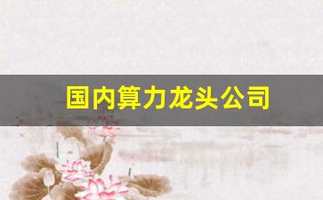 国内算力龙头公司(中国算力公司排名)_https://www.dcjwmf.com_广期所_第1张