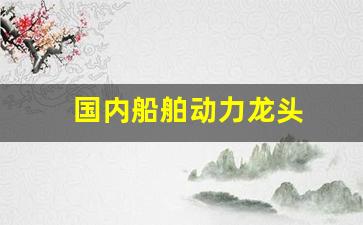 国内船舶动力龙头(中国船用动力)_https://www.jumanxin.com_北交所_第1张