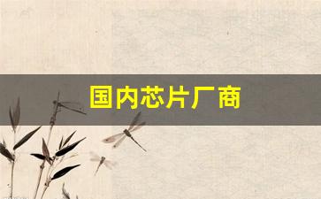 国内芯片厂商(国内芯片厂商排名前十)_https://www.hangfeite.com_科创板_第1张