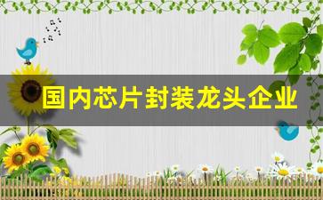国内芯片封装龙头企业(国内芯片封装上市公司)_https://www.wanyuyiyao.com_上交所_第1张