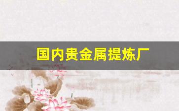国内贵金属提炼厂(国内贵金属提炼厂家排名)_https://www.jnskb.com_效果图_第1张