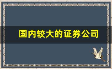 国内较大的证券公司(国内较大的证券公司有哪些)_https://www.eamstsz.com_创业板_第1张