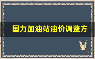 国力油品-国力加油站油价调整方案