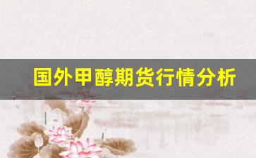 国外甲醇期货行情分析图(甲醇期货行情最新分析)_https://www.wanyuyiyao.com_创业板_第1张