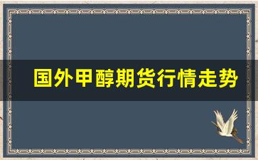 国外甲醇期货行情走势图(国外甲醇期货行情走势图最新)_https://www.jyywjc.com_股票_第1张