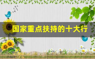 国家重点扶持的十大行业(国家重点扶持的十大行业是哪些)_https://www.luoxuangg888.com_科创板_第1张