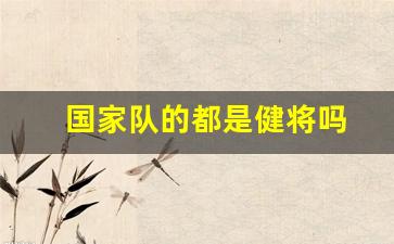 国家队的都是健将吗-国家队的都是健将吗