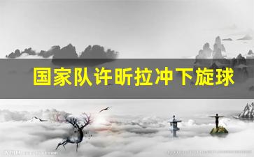 国家队许昕拉冲下旋球-许昕拧球