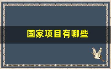 国家项目有哪些(国家项目有哪些问题是可以问别人建议的)_https://www.hn-life.com_上交所_第1张