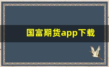 国富期货app下载(国富期货交易软件下载)_https://www.shshucaipeisong.com_上交所_第1张