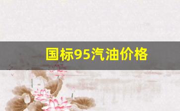 国标95汽油价格-95标号汽油多少钱
