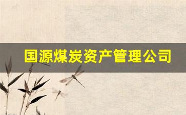 国源煤炭资产管理公司(国源公司煤炭资源整合)_https://www.erdeww.com_期货资讯_第1张