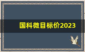 国科微目标价2023(国科微2021半年报)_https://www.huakunhengjia.com_期货资讯_第1张