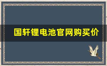 国轩锂电池官网购买价格表(国轩锂电池怎么样)_https://www.hn-life.com_上交所_第1张