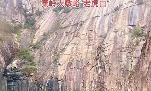 国道242秦岭段天气_秦岭天气预报15天准确