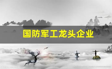 国防军工龙头企业(国防军工板块最新消息)_https://www.fzdzcxj.com_上交所_第1张